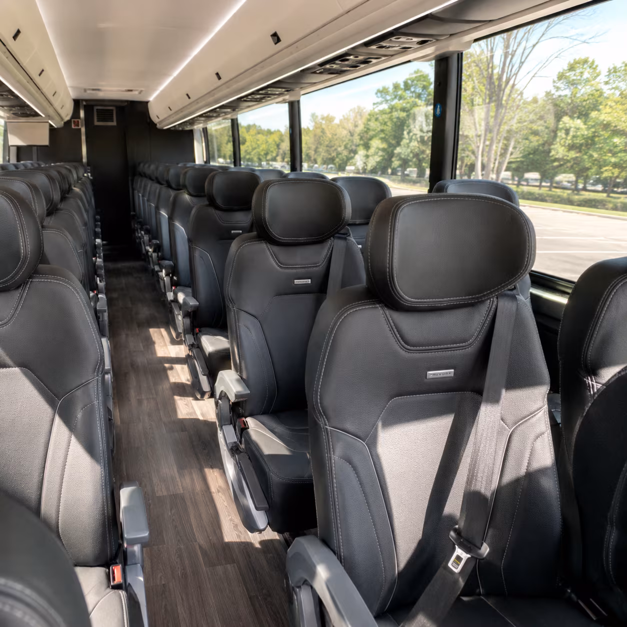 charter buses to santa fe taos and every new mexico destination worth the drive